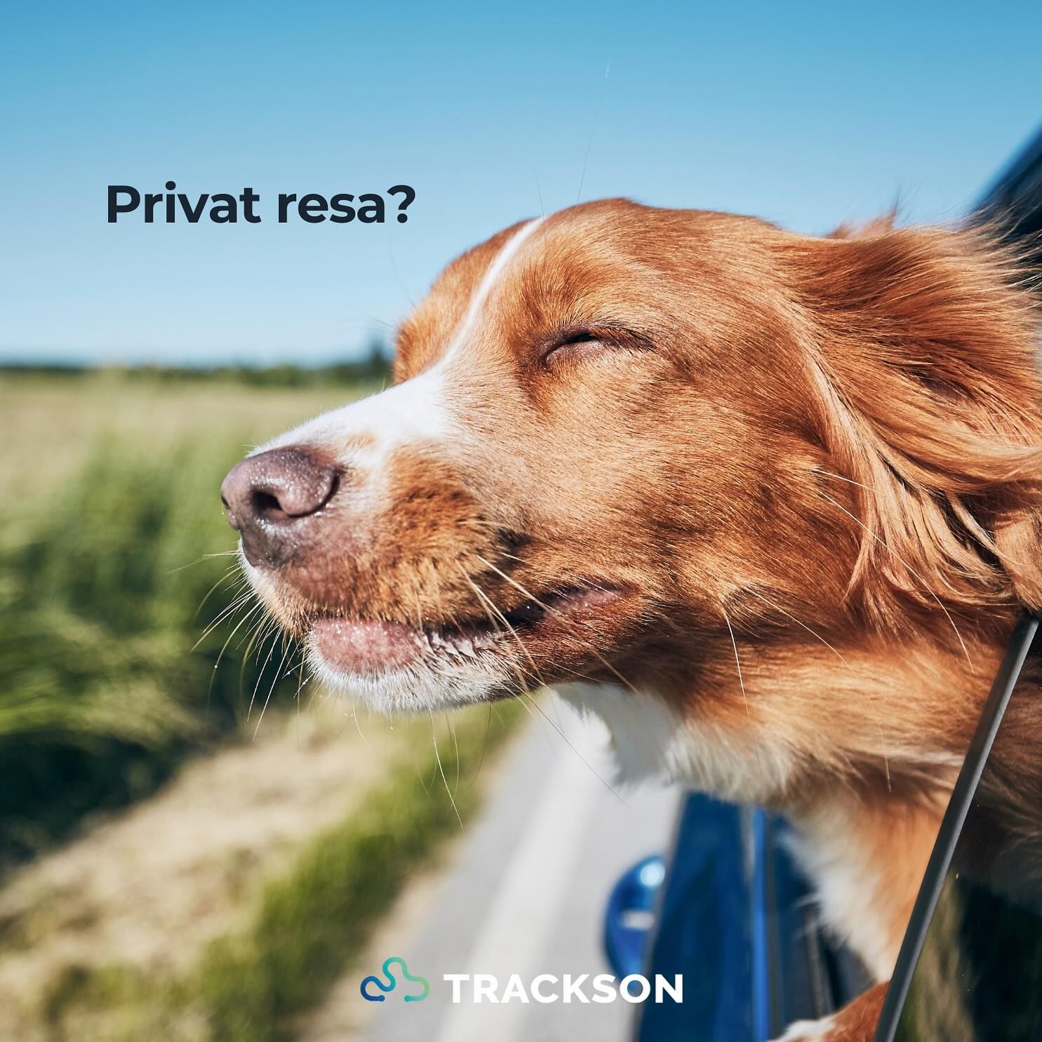 Privat resa?